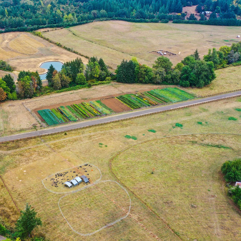 What are different ways a farm can be regenerative?