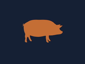 icon of orange pig