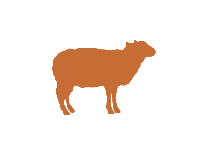 icon of sheep