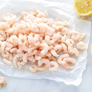 image of raw oregon bay shrimp on a counter