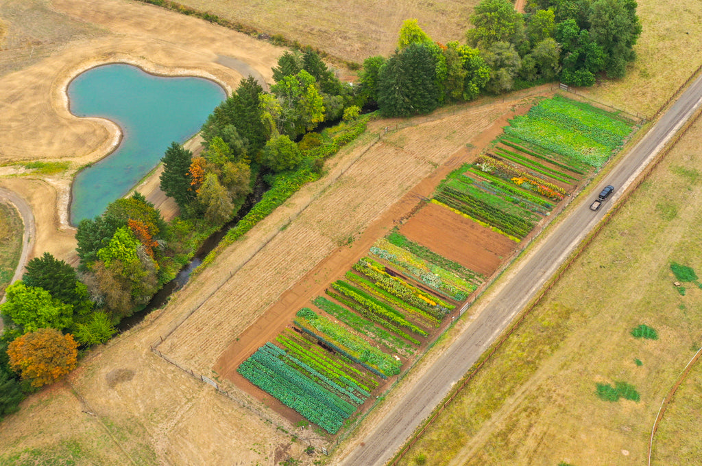 aerial view of Tabula Rasa Farms garden